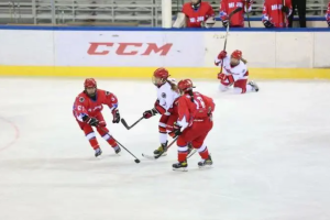 创造历史 北京女子冰球队首夺全国锦标赛冠军